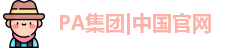 PA集团